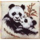 Panda met jong